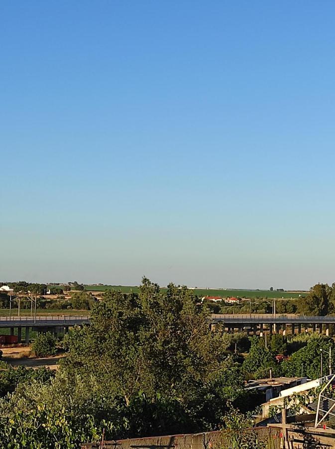 Mansao Alentejana Al Villa Alvalade Dış mekan fotoğraf